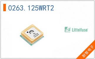 0263.125WRT2
