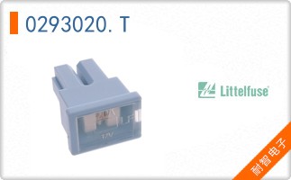 0293020.T