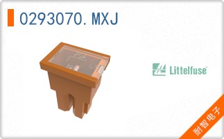 0293070.MXJ