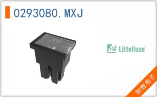 0293080.MXJ