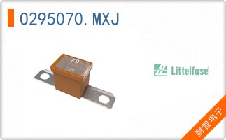 0295070.MXJ