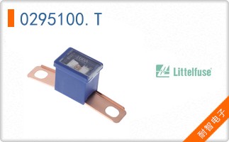 0295100.T