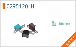 0295120.H