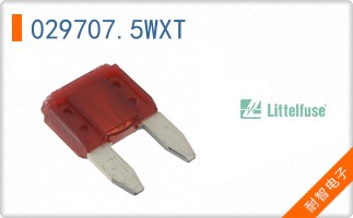 029707.5WXT