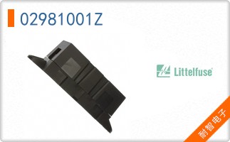 02981001Z
