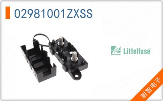 02981001ZXSS