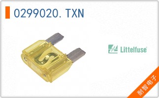 0299020.TXN
