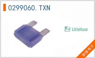 0299060.TXN
