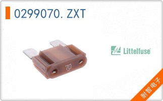 0299070.ZXT