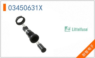 03450631X