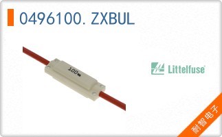 0496100.ZXBUL