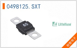 0498125.SXT