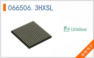 066506.3HXSL