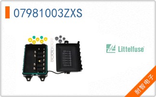 07981003ZXS