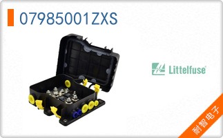 07985001ZXS