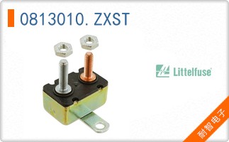 0813010.ZXST