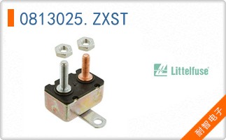 0813025.ZXST