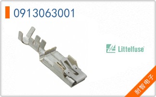 0913063001