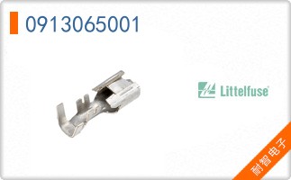 0913065001