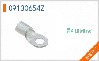 09130654Z