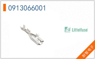 0913066001