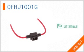 0FHJ1001G