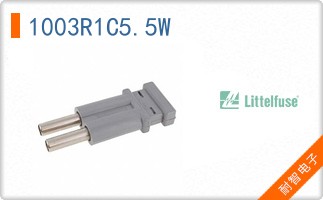 1003R1C5.5W