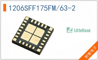 1206SFF175FM/63-2
