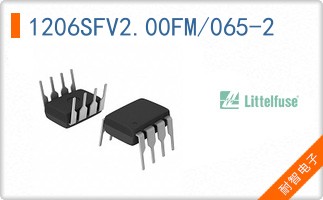 1206SFV2.00FM/065-2