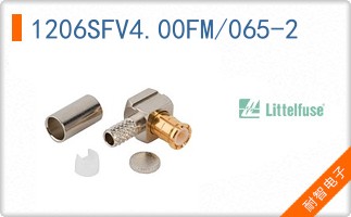 1206SFV4.00FM/065-2