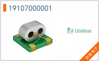 19107000001