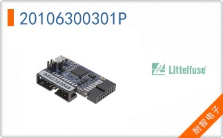 20106300301P