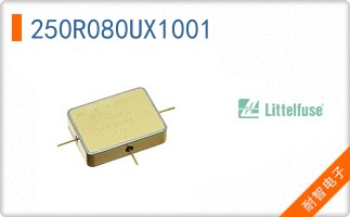 250R080UX1001