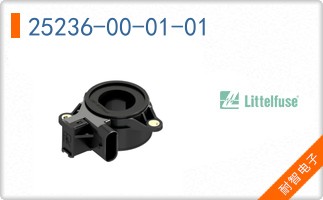 25236-00-01-01