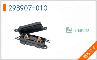298907-010