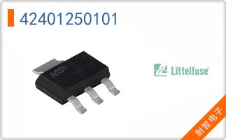 42401250101