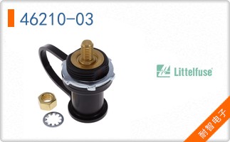 46210-03