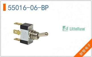 55016-06-BP