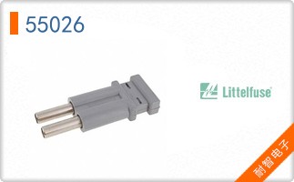55026