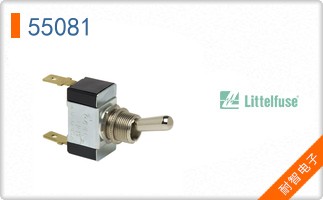 55081