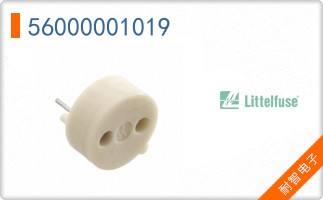 56000001019