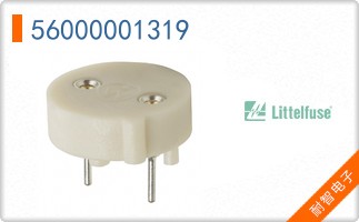 56000001319