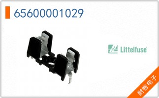 65600001029