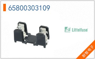 65800303109
