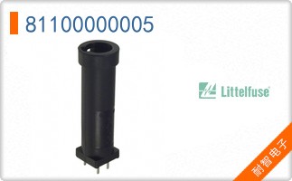 81100000005
