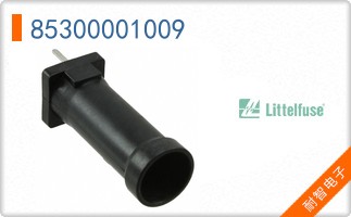 85300001009