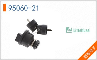 95060-21