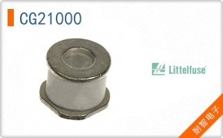 CG21000