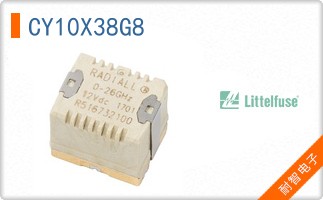 CY10X38G8