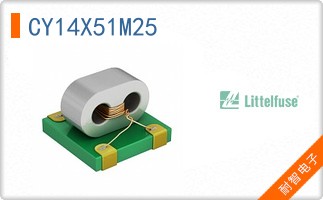 CY14X51M25